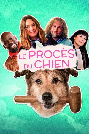 Bị Cáo Một Chú Chó